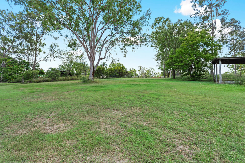 b418015d-77c2-46d4-88cf-647f7479b753